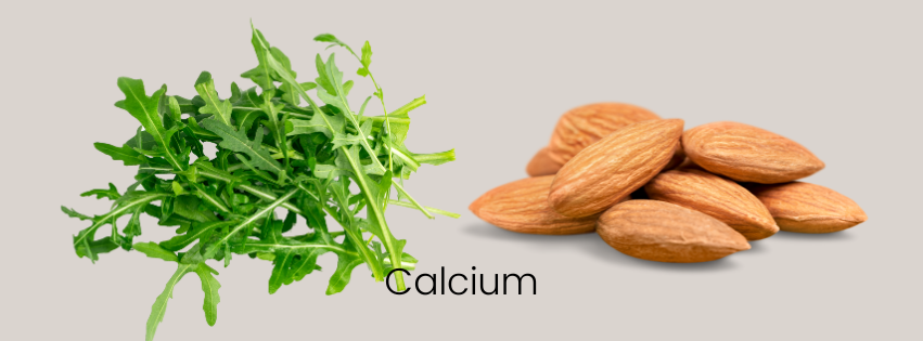 calcium voedingsbronnen
